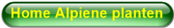 Home Alpiene planten 
