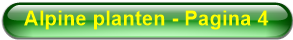 Alpine planten - Pagina 4